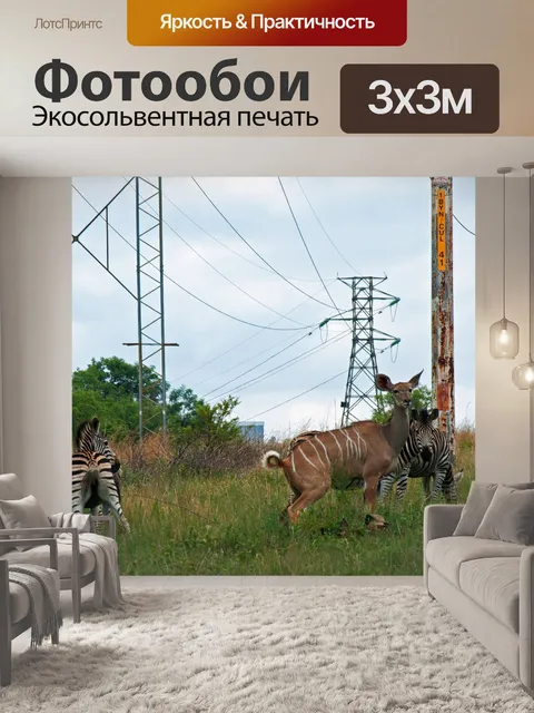 Фотообои Куду на лугах Южной Африки