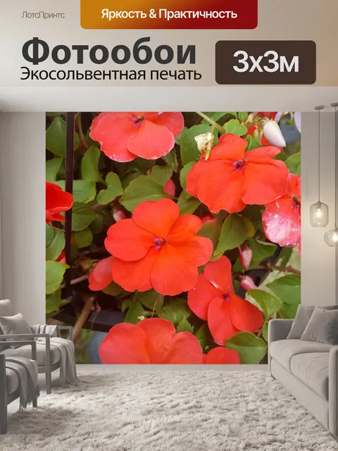 Фотообои Яркие цветы