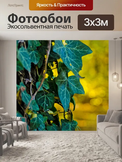 Фотообои Природа в Белград Листья