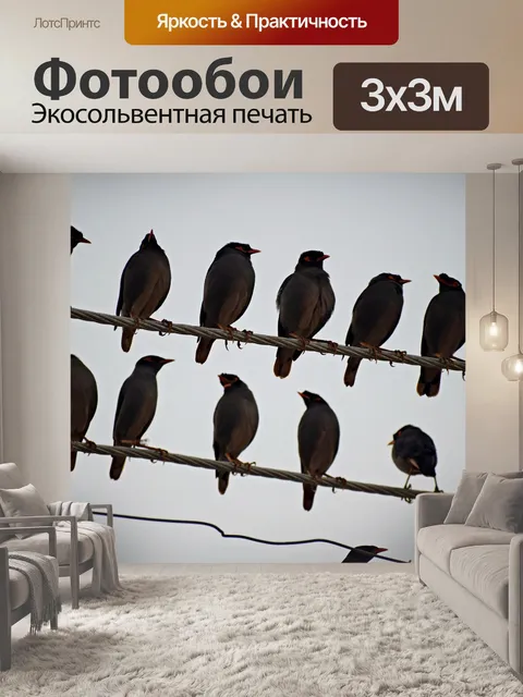 Фотообои Стая птиц
