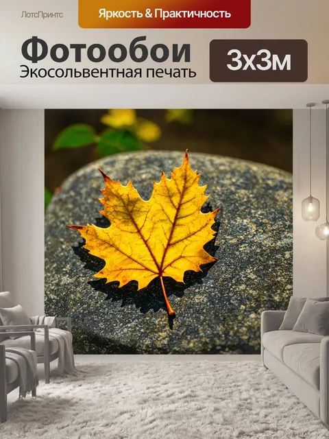 Фотообои листик, лежащий на камне