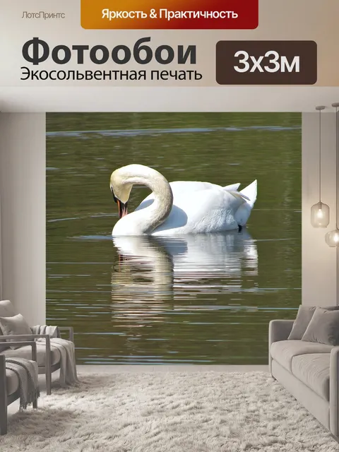 Фотообои Лебедь
