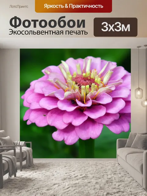 Фотообои Цветок