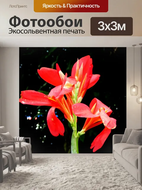 Фотообои Красный цветок
