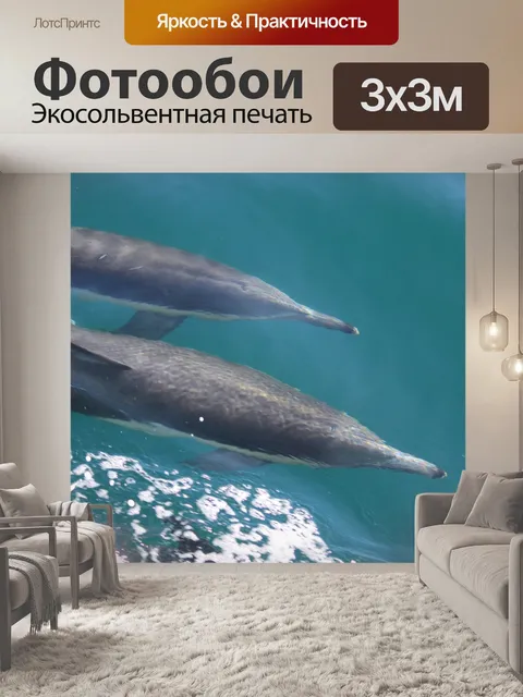Фотообои Дельфины