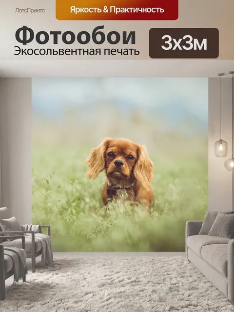Фотообои Животное