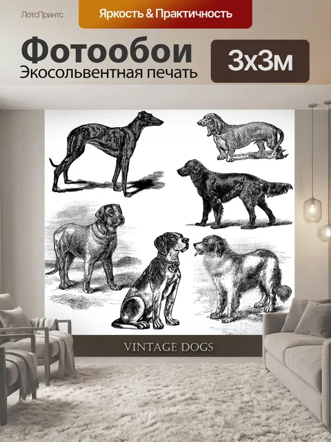 Фотообои Урожай Собаки Клипарт