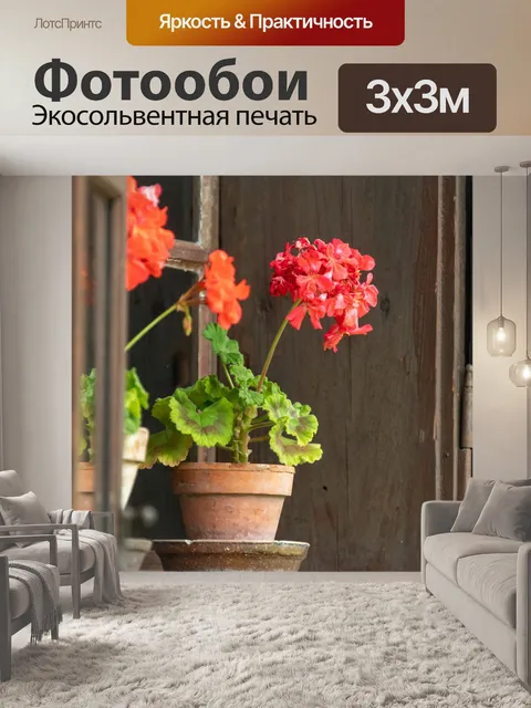 Фотообои Цветы в окне
