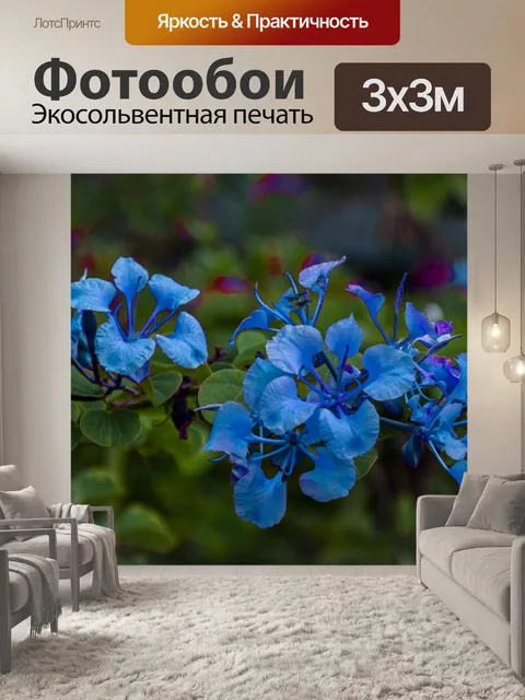 Фотообои Синие цветы