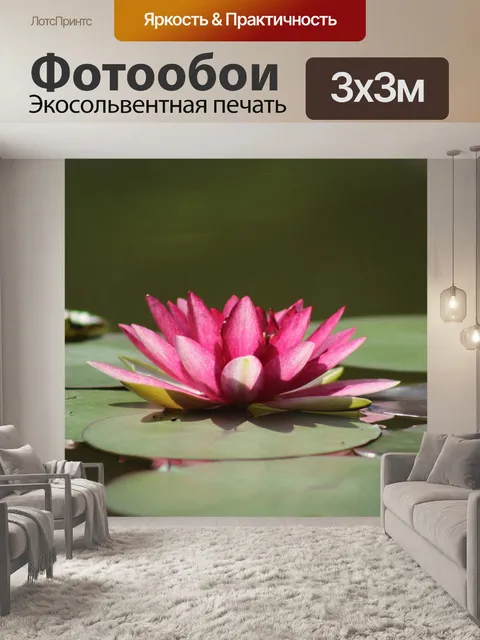 Фотообои Водяная лилия