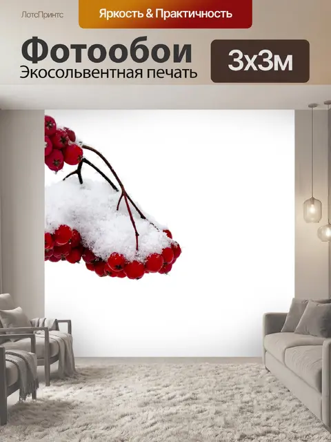 Фотообои Красные ягоды и Снежный филиал