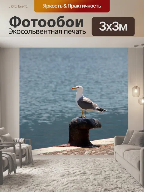 Фотообои Чайка