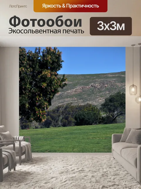 Фотообои лугу