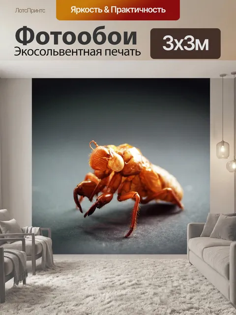 Фотообои Аннотация