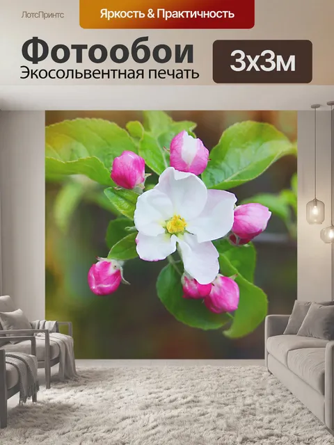 Фотообои Яблоневый цвет сакура цветок цвести