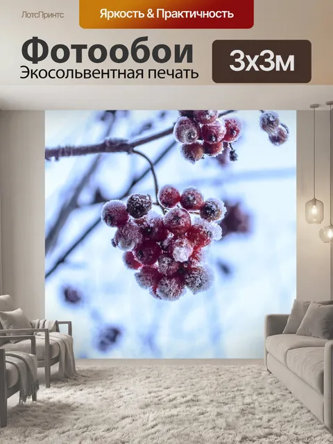 Фотообои Шиповника