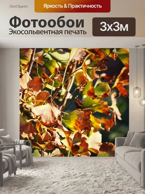 Фотообои листья гинкго билоба на дереве