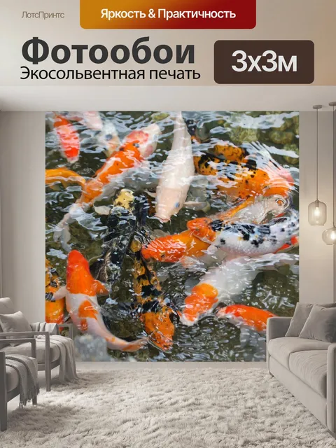 Фотообои Koi рыбы