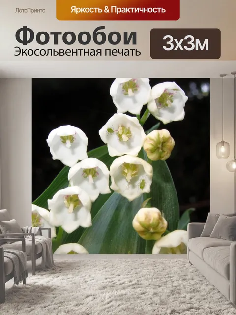 Фотообои Ландыш