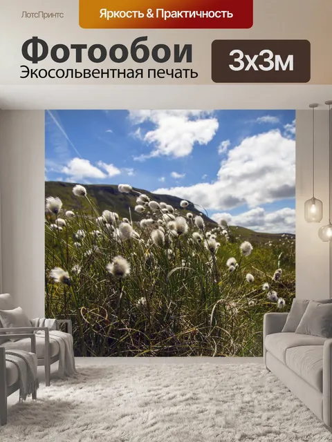 Фотообои Цветы хлопковой травы