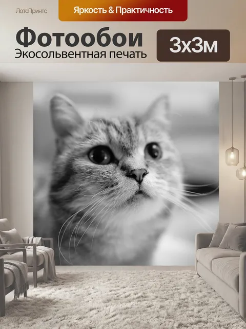 Фотообои Домашний питомец