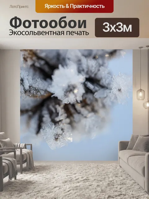 Фотообои Замороженный
