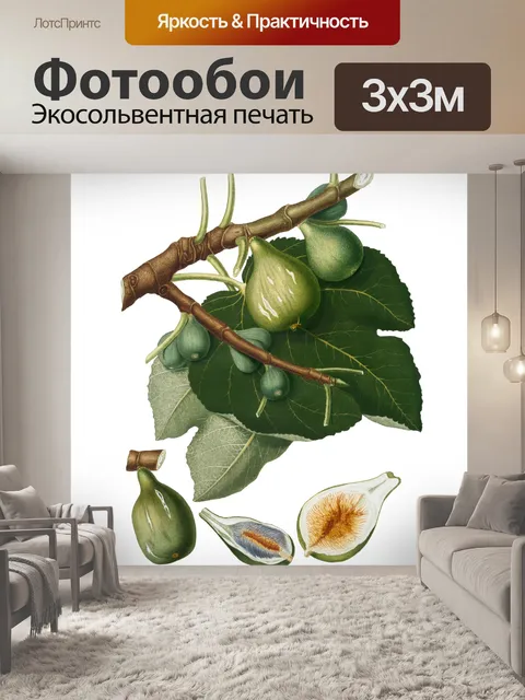 Фотообои Инжир Винтаж Ботаническое Искусство