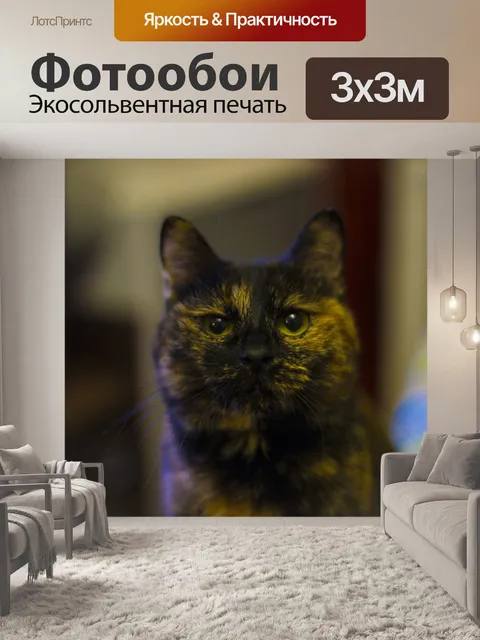 Фотообои Кошка