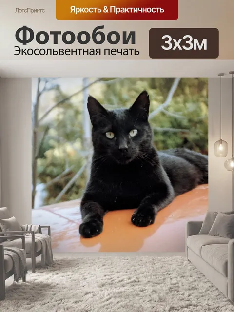 Фотообои Черная кошка на оранжевом автомобильном