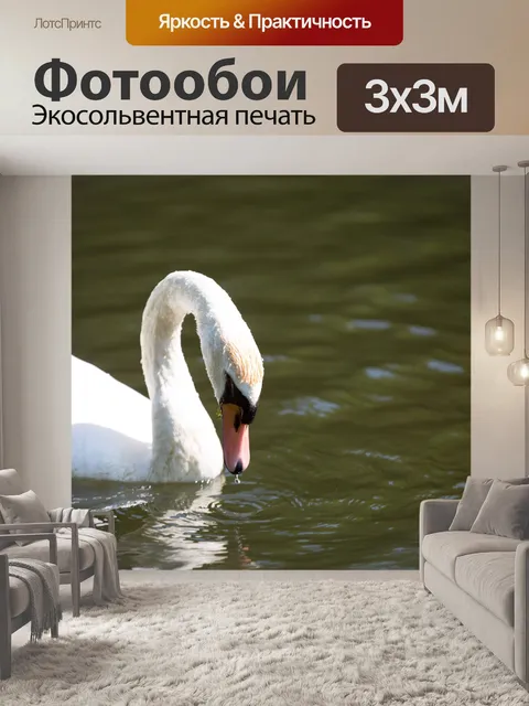 Фотообои лебедь