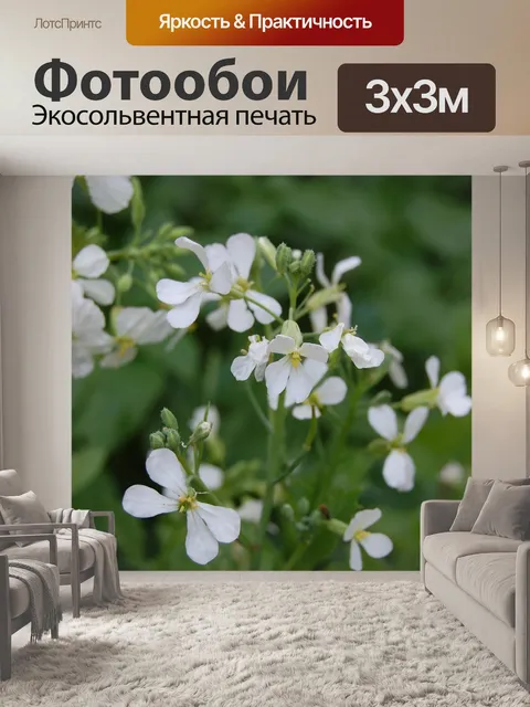 Фотообои Цветок