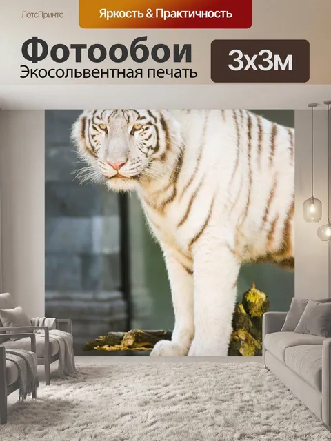 Фотообои Белый тигр