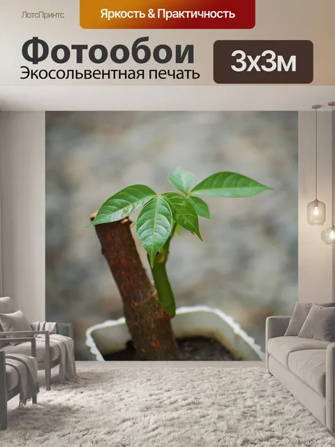 Фотообои Денежное дерево