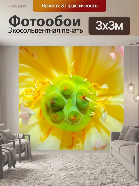 Фотообои Цветок лотоса