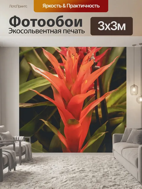 Фотообои Цветочные изображения фона