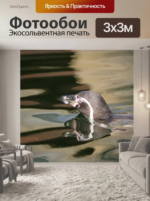 Фотообои Пингвин