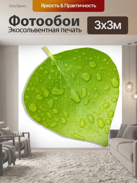 Фотообои Листы