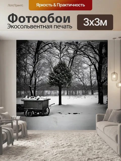 Фотообои в черно-белом зимнем пейзаже
