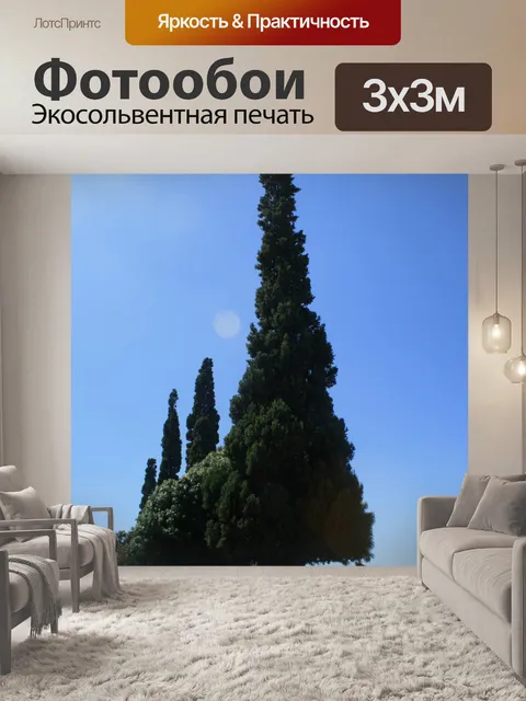 Фотообои кипарисы на мемориале
