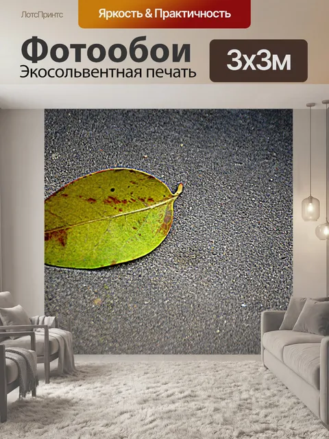 Фотообои Упавший лист