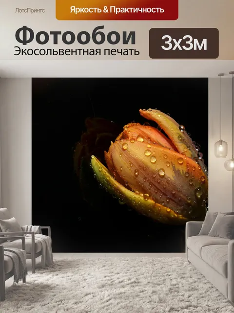 Фотообои Оранжевый