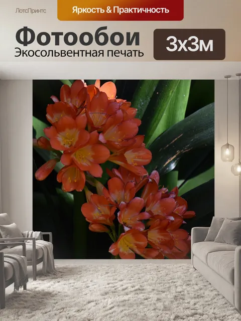Фотообои Оранжевые лилии