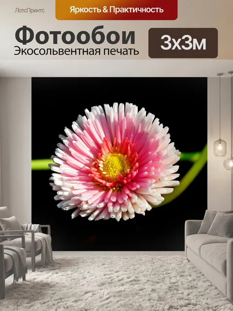 Фотообои Дейзи
