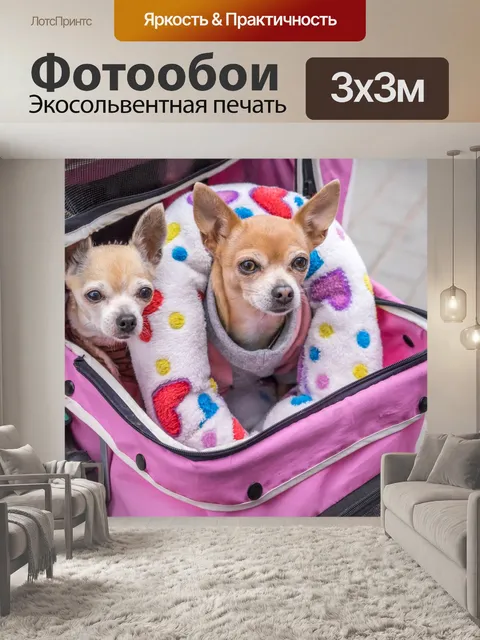 Фотообои Собаки