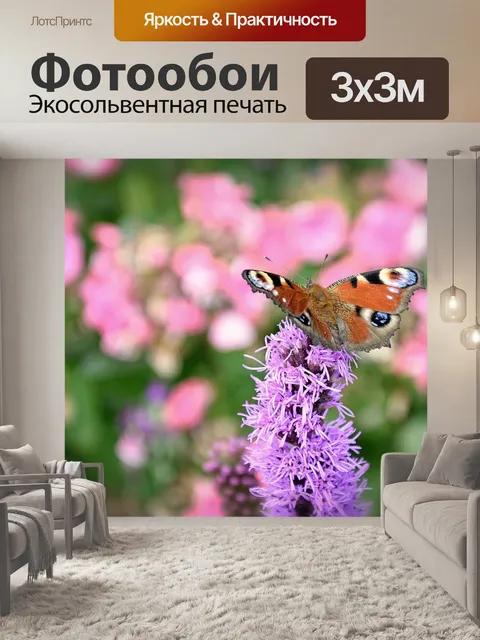 Фотообои Европейский павлин