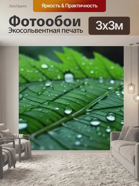 Фотообои дремучий лес и капли дождя