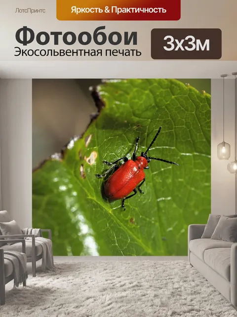 Фотообои Жук алой лилии