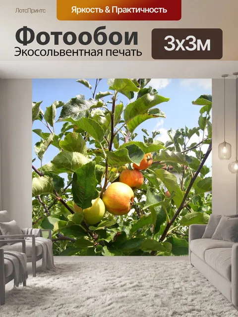 Фотообои Яблоко