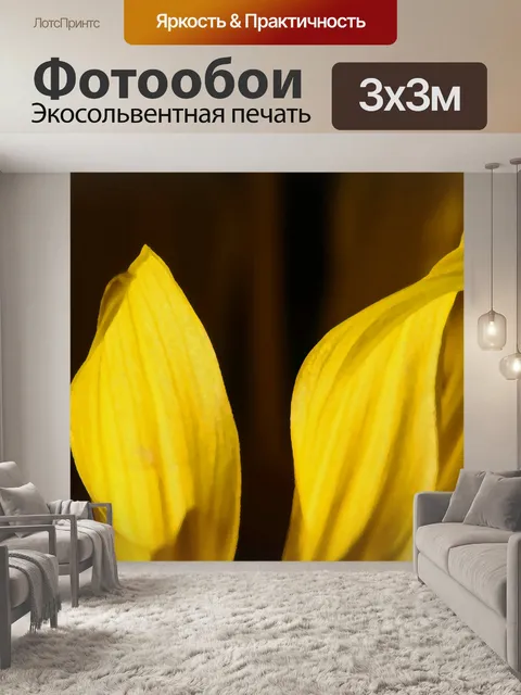 Фотообои желтые лепестки подсолнуха