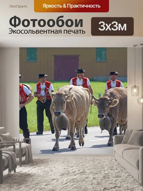 Фотообои Альпийский драйв